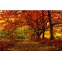 Баннер "Осень фото" 2,7*4м