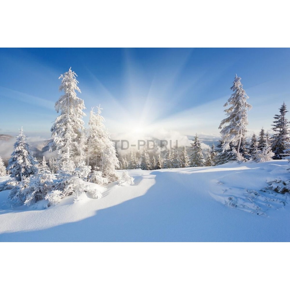 Баннер "Зима" фото 1,8*4м