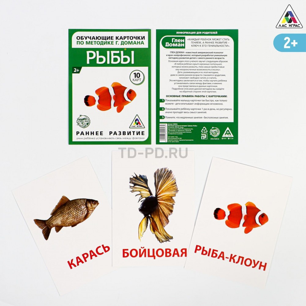 Обучающие карточки по методике Г. Домана «Рыбы», 10 карт, А8