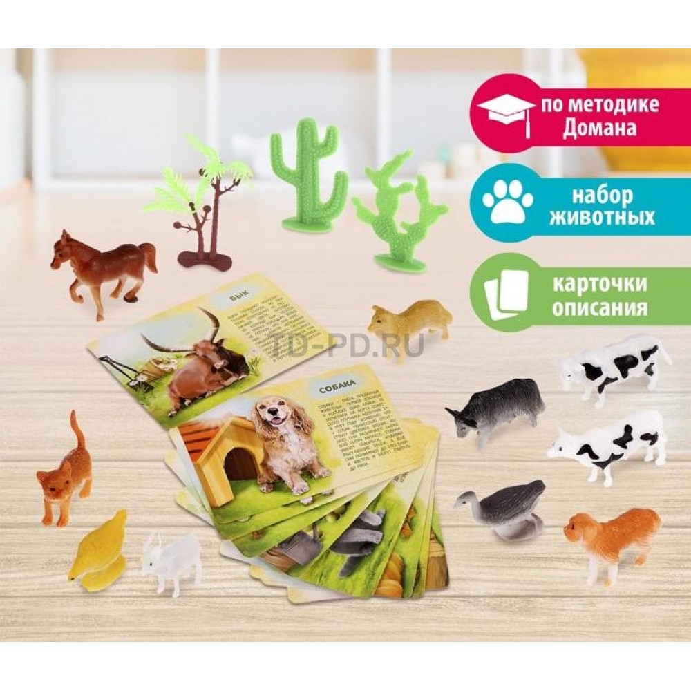 Набор животных с обучающими карточками «Фермерское хозяйство», животные пластик, карточки, по методике Монтессори